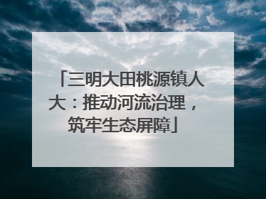 三明大田桃源镇人大：推动河流治理，筑牢生态屏障