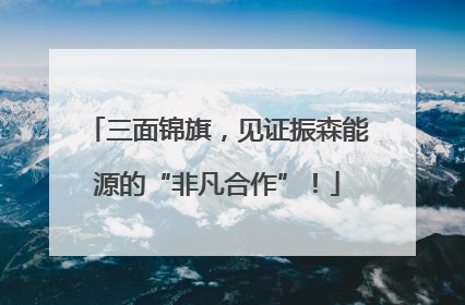 三面锦旗，见证振森能源的“非凡合作”！