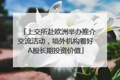 上交所赴欧洲举办推介交流活动，境外机构看好A股长期投资价值