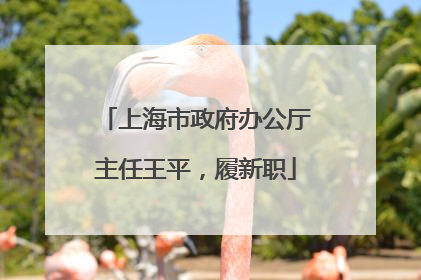 上海市政府办公厅主任王平，履新职