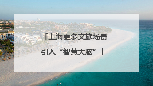 上海更多文旅场景引入“智慧大脑”