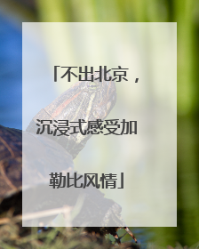 不出北京，沉浸式感受加勒比风情
