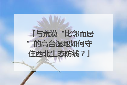 与荒漠“比邻而居”的高台湿地如何守住西北生态防线？