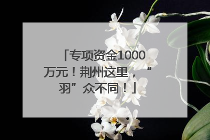 专项资金1000万元！荆州这里，“羽”众不同！