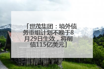 世茂集团：境外债务重组计划不晚于8月29日生效，将削债115亿美元