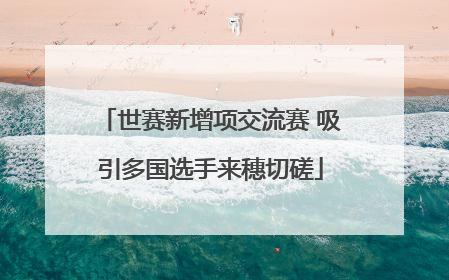 世赛新增项交流赛 吸引多国选手来穗切磋