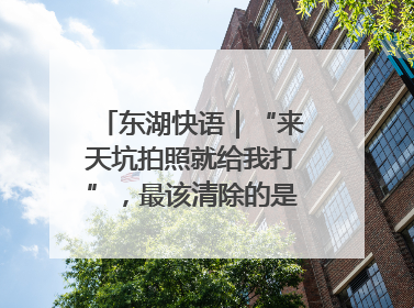 东湖快语｜“来天坑拍照就给我打”，最该清除的是“护短”思维