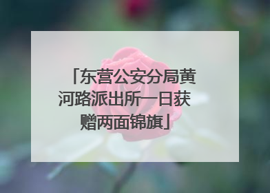 东营公安分局黄河路派出所一日获赠两面锦旗