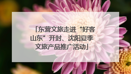 东营文旅走进“好客山东”开封、沈阳夏季文旅产品推广活动