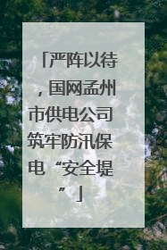 严阵以待，国网孟州市供电公司筑牢防汛保电“安全堤”