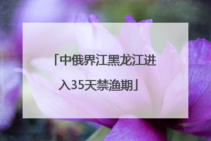 中俄界江黑龙江进入35天禁渔期