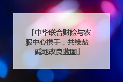 中华联合财险与农服中心携手，共绘盐碱地改良蓝图