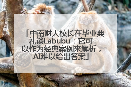 中南财大校长在毕业典礼谈Labubu：它可以作为经典案例来解析，AI难以给出答案