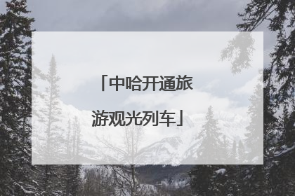 中哈开通旅游观光列车