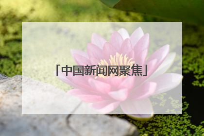 中国新闻网聚焦