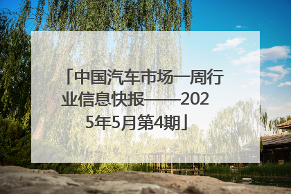 中国汽车市场一周行业信息快报——2025年5月第4期