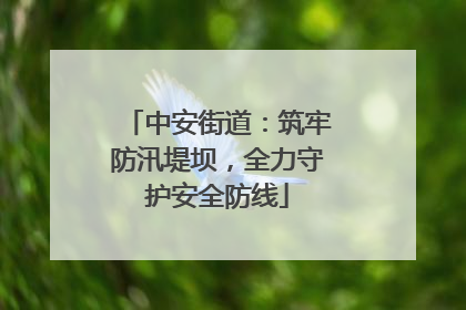 中安街道：筑牢防汛堤坝，全力守护安全防线