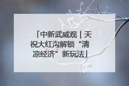 中新武威观｜天祝大红沟解锁“清凉经济”新玩法