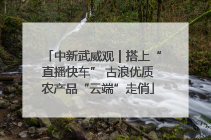 中新武威观｜搭上“直播快车” 古浪优质农产品“云端”走俏