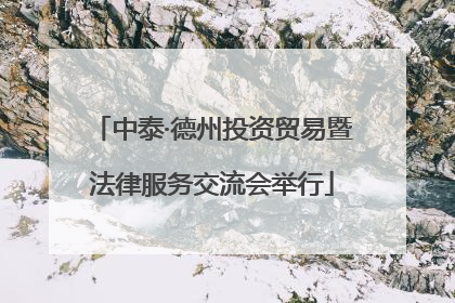 中泰·德州投资贸易暨法律服务交流会举行