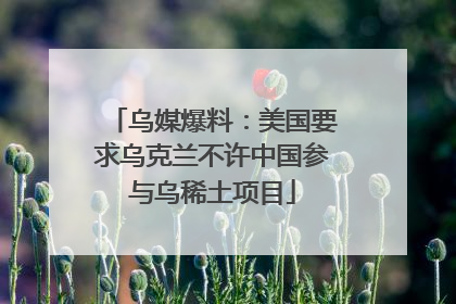 乌媒爆料：美国要求乌克兰不许中国参与乌稀土项目