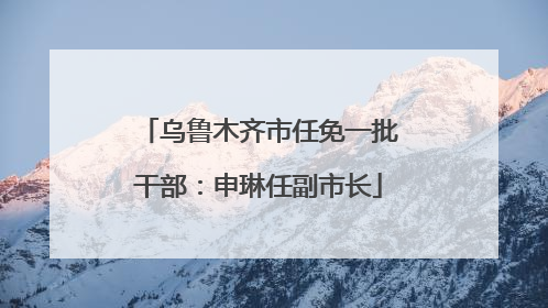 乌鲁木齐市任免一批干部：申琳任副市长