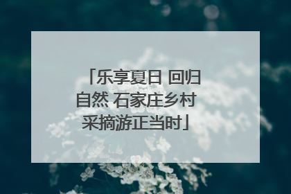 乐享夏日 回归自然 石家庄乡村采摘游正当时