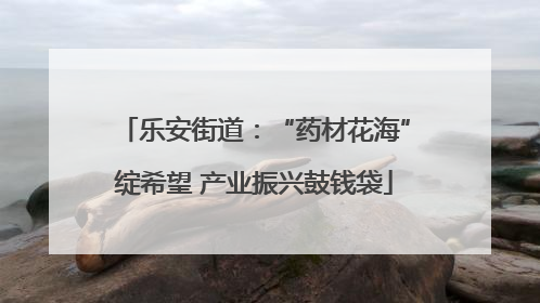 乐安街道：“药材花海”绽希望 产业振兴鼓钱袋