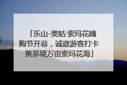 乐山-美姑·索玛花嗨购节开幕，诚邀游客打卡黄茅埂万亩索玛花海