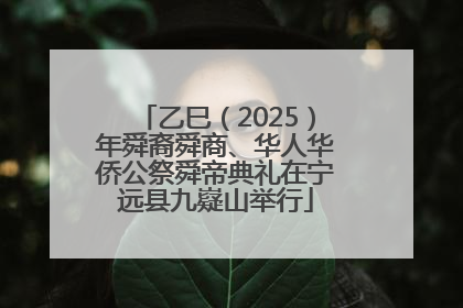乙巳（2025）年舜裔舜商、华人华侨公祭舜帝典礼在宁远县九嶷山举行