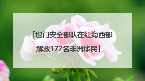 也门安全部队在红海西部解救177名非洲移民