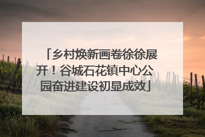 乡村焕新画卷徐徐展开！谷城石花镇中心公园奋进建设初显成效