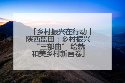 乡村振兴在行动丨陕西蓝田：乡村振兴 “三部曲” 绘就和美乡村新画卷