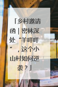 乡村邀请函｜密林深处“羊咩咩”，这个小山村如何逆袭？