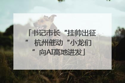书记市长“挂帅出征” 杭州催动“小龙们”向AI高地进发
