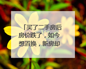 买了二手房后房价跌了，如今想置换，新房却涨价了｜100个买房故事
