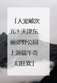 人宠破次元！天津东丽郊野公园上演端午奇幻狂欢
