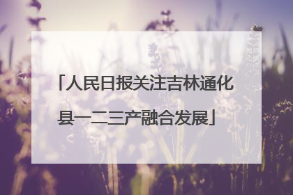 人民日报关注吉林通化县一二三产融合发展