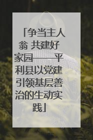 争当主人翁 共建好家园——平利县以党建引领基层善治的生动实践
