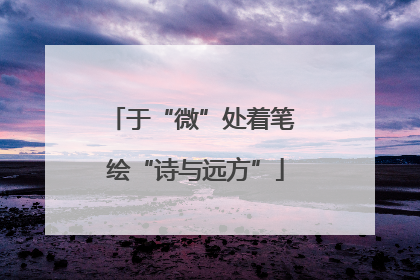 于“微”处着笔 绘“诗与远方”