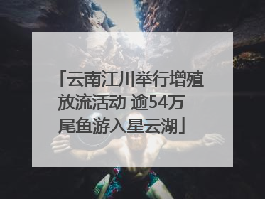 云南江川举行增殖放流活动 逾54万尾鱼游入星云湖