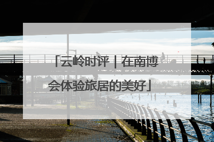 云岭时评｜在南博会体验旅居的美好