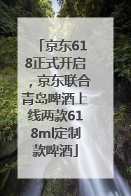 京东618正式开启，京东联合青岛啤酒上线两款618ml定制款啤酒