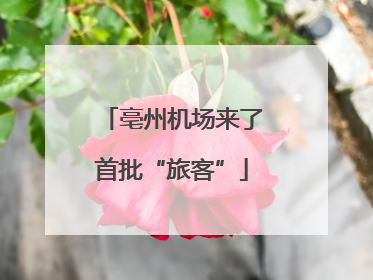 亳州机场来了首批“旅客”