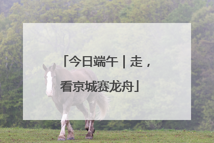 今日端午｜走，看京城赛龙舟