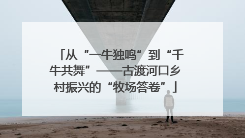 从“一牛独鸣”到“千牛共舞”——古渡河口乡村振兴的“牧场答卷”