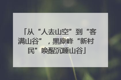 从“人去山空”到“客满山谷”，黑麋峰“新村民”唤醒沉睡山谷