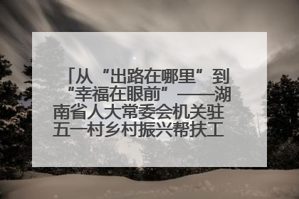 从“出路在哪里”到“幸福在眼前”——湖南省人大常委会机关驻五一村乡村振兴帮扶工作队书写振兴答卷