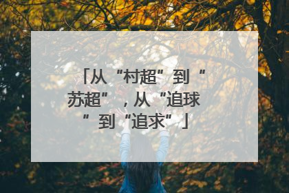 从“村超”到“苏超”，从“追球”到“追求”