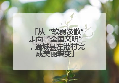 从“软弱涣散”走向“全国文明”，通城县左港村完成美丽蝶变